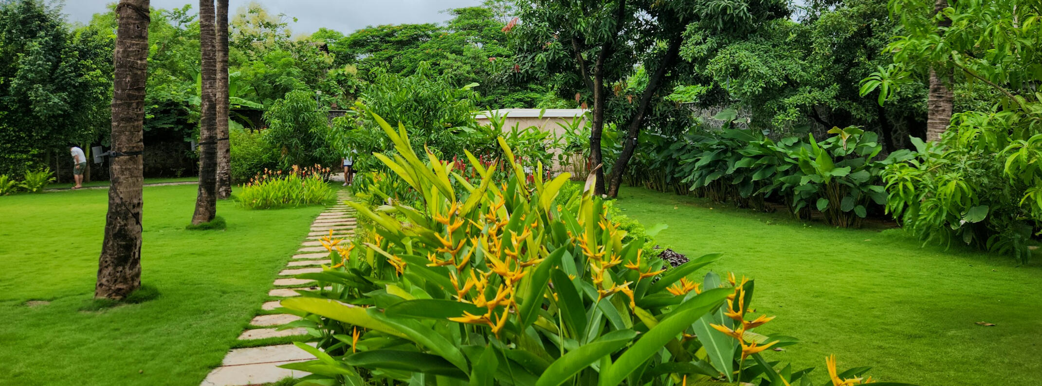 Mantenimiento de jardines Tenerife