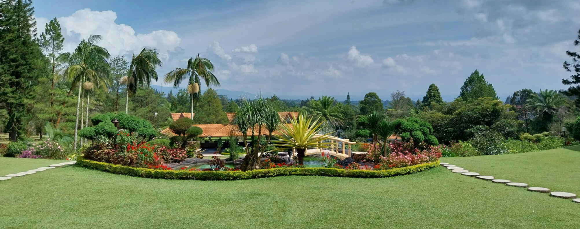 Mantenimiento de jardines Tenerife